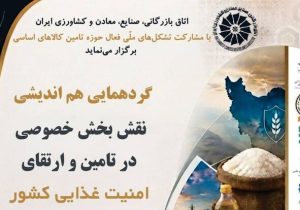 هشدار محترمانه درباره فروپاشی زنجیره تأمین کالاهای اساسی| واردات برنج به نصف رسید