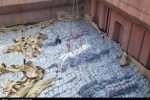 واردات انبوه برنج دوباره آغاز شد