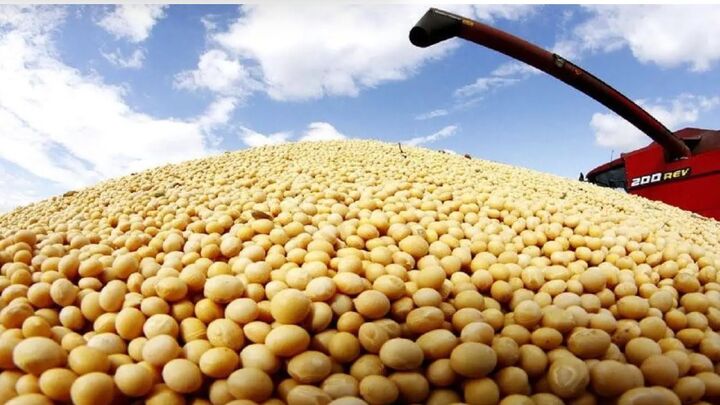 کاهش ۷.۴درصدی میانگین قیمت جهانی سویای صادراتی در ۲۰۲۵؛ سهم ایران از بازار جهانی چقدر است؟ کاهش ۷.۴درصدی میانگین قیمت جهانی سویای صادراتی در ۲۰۲۵؛ سهم ایران از بازار جهانی چقدر است؟