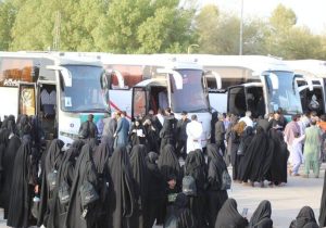 آغاز خدمترسانی رایگان اتوبوسرانی برای بازگشت زائران اربعین