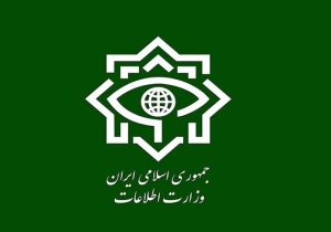 بازداشت ۳۰ سردسته و مزدور دشمن دخیل در کودتای دی
