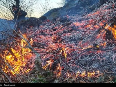 ببینید| آتش‌سوزی در جنگل‌های بهشهر/ هیرکانی دوباره می‌سوزد!