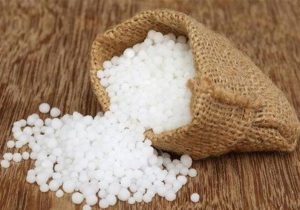 تأمین مالی اوره حمایتی؛ پیششرط پایداری تولید و امنیت غذایی