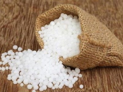 تأمین مالی اوره حمایتی؛ پیش‌شرط پایداری تولید و امنیت غذایی
