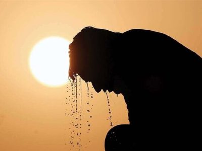 تلفات بی‌سابقه گرما در آلمان