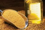 ثبت سفارش واردات انواع روغن از امروز آغاز شد