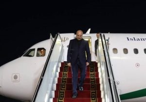 رئیس مجلس و هیئت پارلمانی همراه وارد تهران شدند
