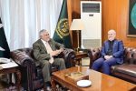 رایزنی وزیرخارجه پاکستان و سفیر ایران؛ تأکید بردیپلماسی جهت ثبات منطقه