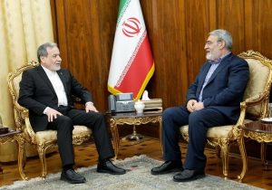 رحمانی فضلی با عراقچی دیدار کرد