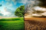 زنگ خطر ال‌نینو برای اقتصاد جهان؛ شرکت‌های بزرگ در آماده‌باش