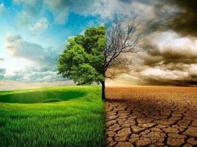 زنگ خطر ال‌نینو برای اقتصاد جهان؛ شرکت‌های بزرگ در آماده‌باش