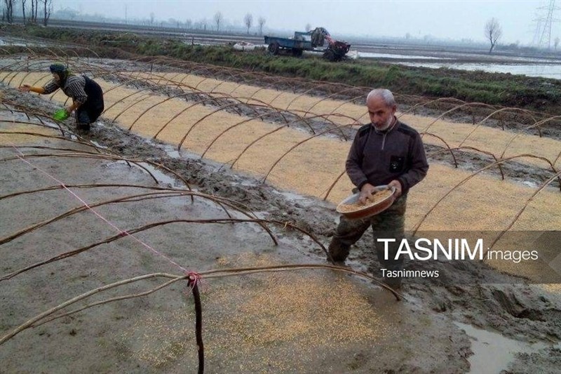 سفر به قلب هویت و اصالت گیلان؛ روزگار پرمهر و سبک زندگی اصیل سفر به قلب هویت و اصالت گیلان؛ روزگار پرمهر و سبک زندگی اصیل