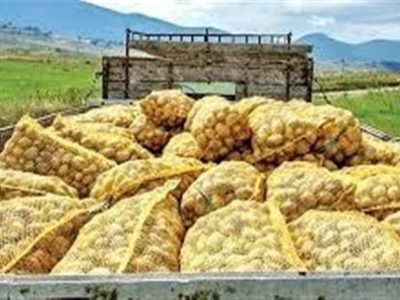 صادرات سیب‌زمینی تا پایان سال ممنوع شد