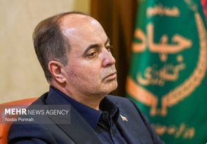 نوری قزلجه: وضعیت ذخایر کالاهای استراتژیک از زمان جنگ افزایشی است