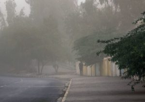 هشدار نسبت به وزش تندباد در تهران| احتمال سقوط برخی اجسام از ارتفاع