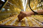 آشنایی با مهمترین اصطلاحات بازار طلا