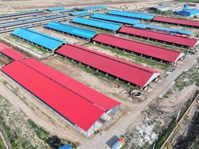 افزایش سرمایه؛اهرم مالی صنعت کشاورزی دربورس برای عبور ازتنگنای نقدینگی