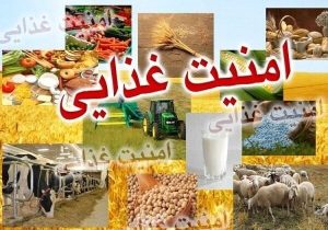 امنیت غذایی را اولویت درجه یک کشور کنیم