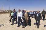 بقایی: حمله آمریکا به لامرد با هدف قربانیگرفتن از غیرنظامیان بود