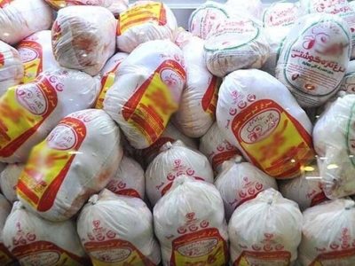 خرید حمایتی مرغ با قیمت ۳۳۵ هزار تومان آغاز شد
