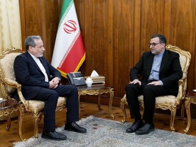 دیدار سفیر ایران نزد سازمان همکاری اسلامی با عراقچی