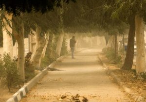 صدور هشدار زردرنگ هواشناسی؛ افزایش وزش باد و بارش باران در چند استان