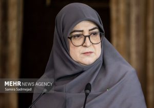 مهاجرانی: آنچه انجام شده تمام توان دولت است