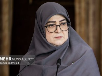 مهاجرانی: آنچه انجام شده تمام توان دولت است