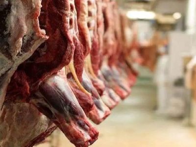 واردات گوشت قرمز با وجود محاصره تنگه هرمز ادامه دارد