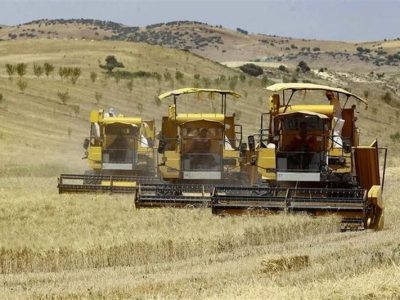 پرداخت ۱۰۰ همت دیگر از مطالبات گندمکاران در هفته آینده