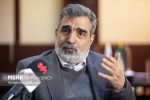 کمالوندی: ایران گزینه‌های زیادی برای دفاع از خود دارد