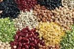 ۱۱۳درصد اختلاف قیمت لوبیا در بازار با وجود تخصیص ارز مبادلهای