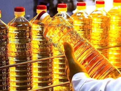 آفتابگردان در بن‌بست آبراه؛ تنگنای سرخ بر طلای زرد| خزر در مدار طلای روغنی