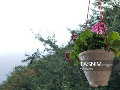 اجرای طرح توسعه گردشگری کشاورزی در ۱۲۸ روستا کلید خورد