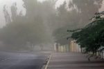 باد و گرد و خاک در تهران؛ کاهش دما از شنبه