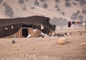 تأکید جمعی از نمایندگان بر لزوم رفع مشکلات زیرساختی روستاها و عشایر