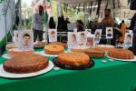 وقتی روز کودک با یاد کودکانی که شهید شدند گره خورد
